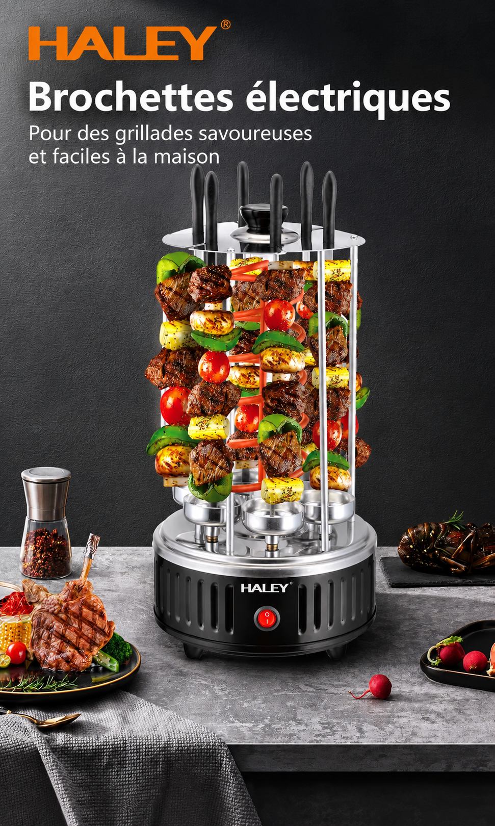Brochettes électriques HALEY HY-8602